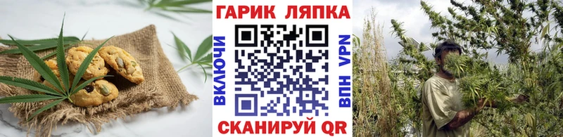 площадка официальный сайт  Санкт-Петербург  Еда ТГК марихуана 