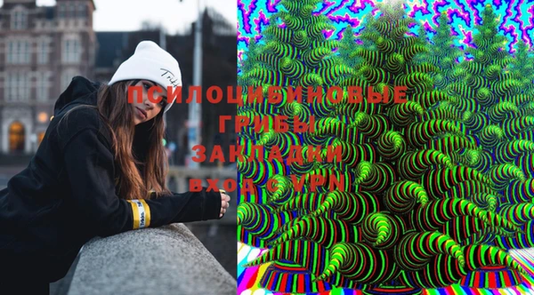 прущий лед Пересвет