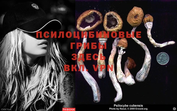 мяу мяу кристалл Осташков