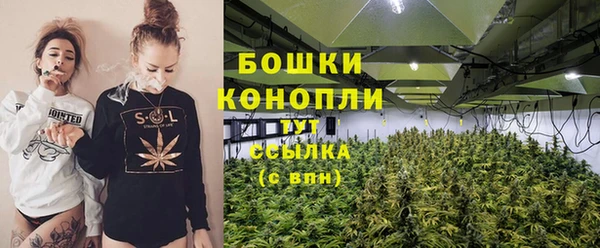 мяу мяу мука Пестово