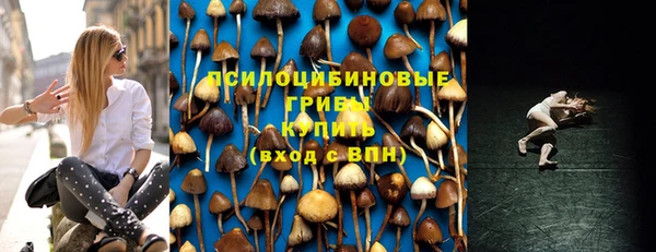 мяу мяу мука Пестово