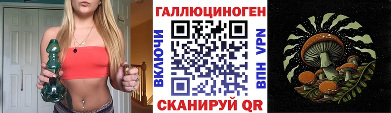 blacksprut ТОР Санкт-Петербург Галлюциногенные грибы мицелий